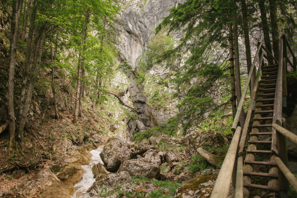 bärenschützklamm